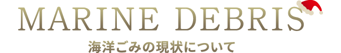 MARINE DEBRIS 海洋ごみの現状について